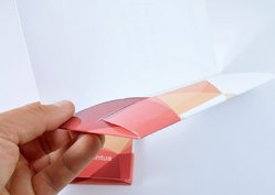 Папка-рахівниця 100х210 мм, приклад 4